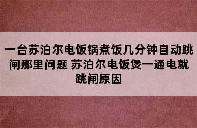 一台苏泊尔电饭锅煮饭几分钟自动跳闸那里问题 苏泊尔电饭煲一通电就跳闸原因